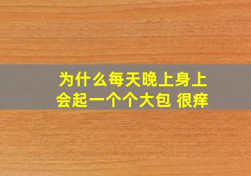 为什么每天晚上身上会起一个个大包 很痒